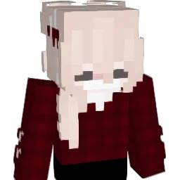 yurims11 Minecraft avatar bust