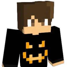 z0olq Minecraft avatar bust