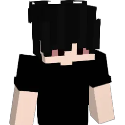 z9c_ Minecraft avatar bust