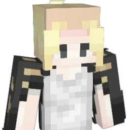 zImFxb1 Minecraft avatar bust