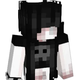 zL1__ Minecraft avatar bust