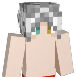 zMdss Minecraft avatar bust