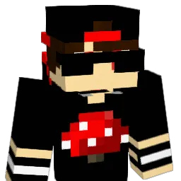 zNinjaBrGamer Minecraft avatar bust