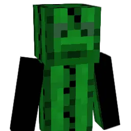 zRez247 Minecraft avatar bust