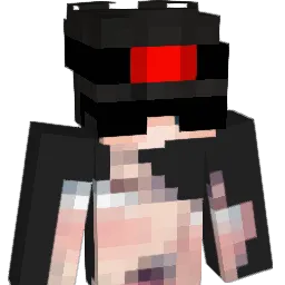 zRynxx_ Minecraft avatar bust