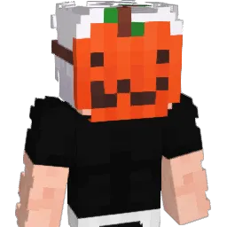 zVin1 Minecraft avatar bust