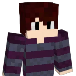 zWendersonBR Minecraft avatar bust