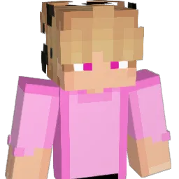 zZer0_o Minecraft avatar bust