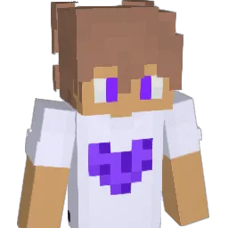 z_shadowwarriors Minecraft avatar bust