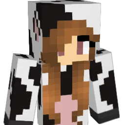 zady_143 Minecraft avatar bust