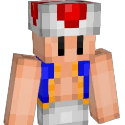 zalto Minecraft avatar bust