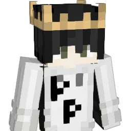 zanz123 Minecraft avatar bust