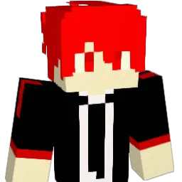 zav5943 Minecraft avatar bust