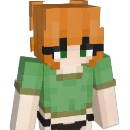 zay_17 Minecraft avatar bust