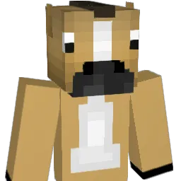 zaydiddy69 Minecraft avatar bust