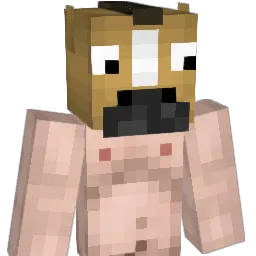 zazzi22 Minecraft avatar bust
