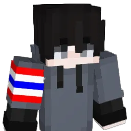 zcm330 Minecraft avatar bust
