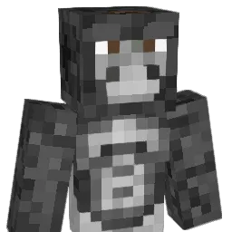zcuh Minecraft avatar bust
