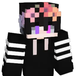 zenathur2771 Minecraft avatar bust