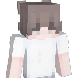 zh0529 Minecraft avatar bust