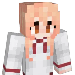 zhr1008 Minecraft avatar bust