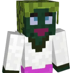zingsman75 Minecraft avatar bust