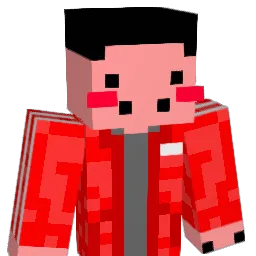 zksej_ Minecraft avatar bust