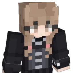 zlPolar Minecraft avatar bust