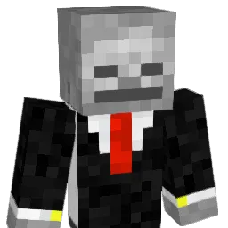 zlotnicky Minecraft avatar bust