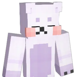 zlzon_wonbin Minecraft avatar bust