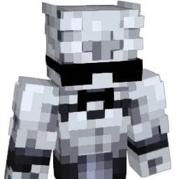 zm8 Minecraft avatar bust