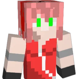 zonbloempje Minecraft avatar bust
