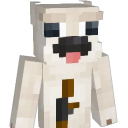 zonkw's Minecraft skin