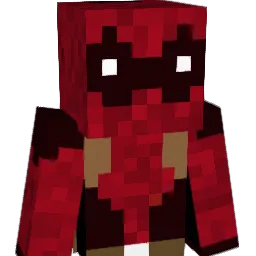 zoodle1 Minecraft avatar bust
