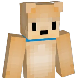 zoomer20 Minecraft avatar bust