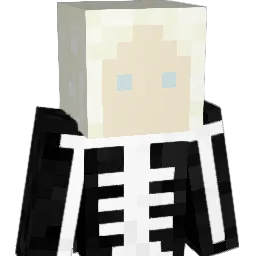 zoomizido Minecraft avatar bust