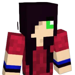 zozer1234 Minecraft avatar bust