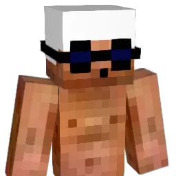 zpress123 Minecraft avatar bust
