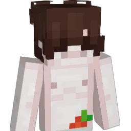 zqsr Minecraft avatar bust