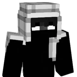 zqyp's Minecraft skin