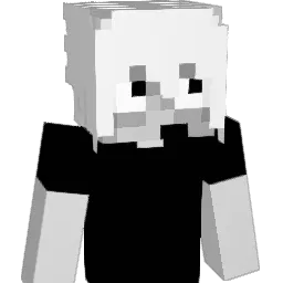 zt9r Minecraft avatar bust