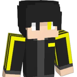 ztp2563 Minecraft avatar bust