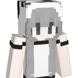ztt665 Minecraft avatar bust