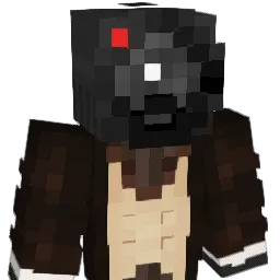 zudoodlez Minecraft avatar bust