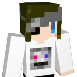 zumzoom Minecraft avatar bust