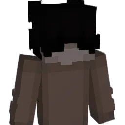 zvsj Minecraft avatar bust