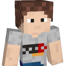 zvvcs__'s Minecraft skin