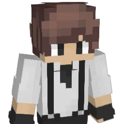 zwiirL Minecraft avatar bust