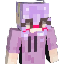 zwxddxry Minecraft avatar bust