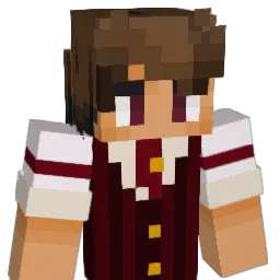 zwykly_grac Minecraft avatar bust